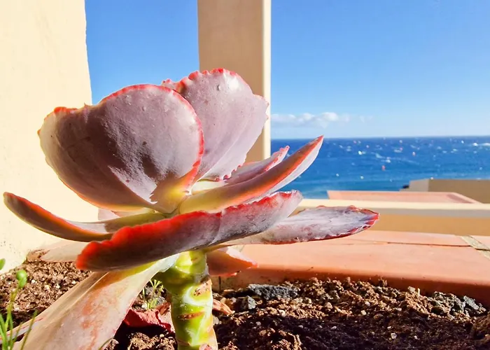 Medano4you The Ocean Terrace Penthouse Apartamento *