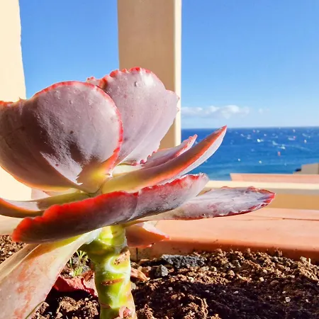 Medano4you The Ocean Terrace Penthouse 公寓 *